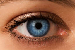 Eye Movement Desensitization and Reprocessing (EMDR)