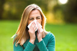 Allergologists: a solution for your allergy ailments