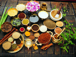 Ayurveda: a mind-body health system