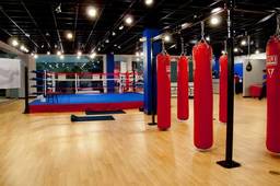 What to look for when choosing a boxing gym