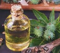 Castor Oil: A Natural Healing Product in South African Alternative Medicine