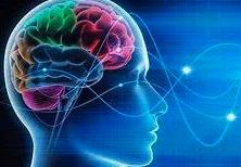 Exploring Neuro Focus Therapy for Optimal Brain Health