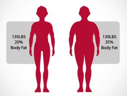 Understanding Body Composition Analysis Why It S More Than Just A Scale Health You