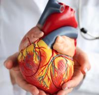 When Should You See a Cardiologist? 7 Signs Your Heart Needs a Check-Up