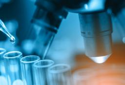 Understanding Medical Tests: What Pathologists Look for in Your Bloodwork