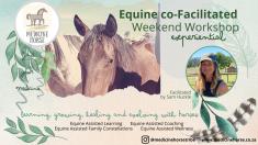 Equine co-Facilitated Wellness Weekend Workshop Klapmuts Equine Assisted Coaching _small