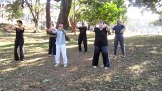 Tai Chi In The Park Durban CBD Tai Chi 4 _small