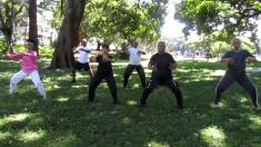 Tai Chi In The Park Durban CBD Tai Chi 3 _small