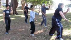 Tai Chi In The Park Durban CBD Tai Chi 2 _small