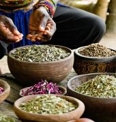 Dr. Banda's expertise as a sangoma encompasses various aspects of traditional African medicine, including the use of muthi (traditional herbal remedies) and spiritual guidance.