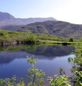 The Retreat at Groenfontein Calitzdorp Retreats 1_small