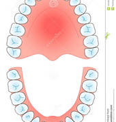 Craft Dental Studio (Dental Laboratory) Empangeni CBD Dentists 1_small