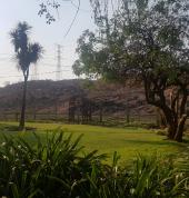 Enjoy the view of the beautiful Melville Koppies Nature Reserve from your room