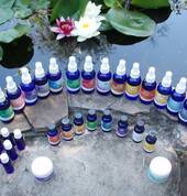 Shamanessence Products line