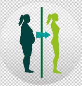 Get rid of belly fat