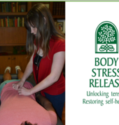 Body Stress Release - Ydianne Labuschagne cover photo