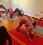 Zen Zoo Kids Rynfield Hatha Yoga 3_small