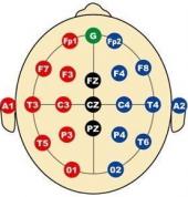 Brain Harmonics Midrand Crowthorne Neuropsychologists 3_small