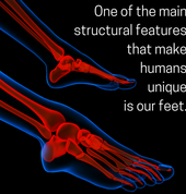 David Ives Podiatrist Randpark Ridge Rehabilitation Podiatrists 1_small