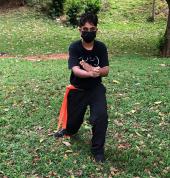 Yang Style Tai Chi 108 Postures hidden punch