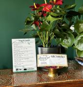 Gift Voucher’s available