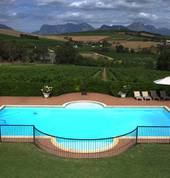 View of pool area, vineyard & surroundings