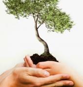 SarahC Life Coaching and Councelling