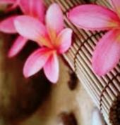 Georgia Rose's little spa Westering Swedish Massage 1_small