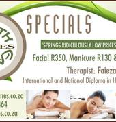 Earth Tones Specials