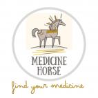 Free Horse Medicine information Session Klapmuts Equine Assisted Coaching