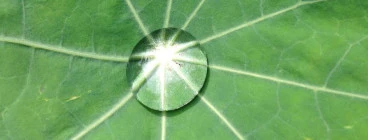 Heart Based Living - Loving Nature by Wendy Leppard.