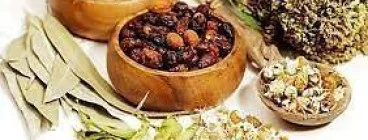 Shamanic Healing Call +27735916732 Sandton CBD 1