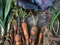 Health Food Shops