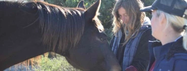 Free Horse Medicine information Session Klapmuts Equine Assisted Coaching