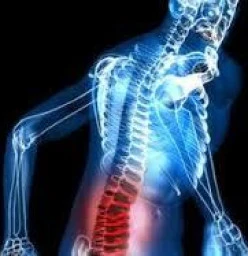 Chiropractic Mobility Clinic Mulbarton 1