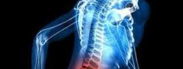 Chiropractic Mobility Clinic Mulbarton 1