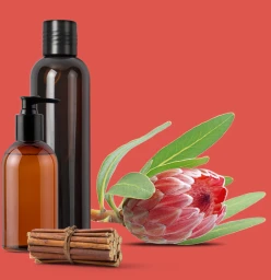 Natural Living Spa And Wellness Center Polokwane CBD 1