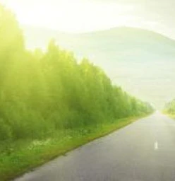 Dr Nadine Dunn Specialized Counsellor and Life Coach Del Judor 1