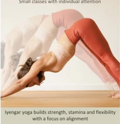 Kommetjie Iyengar Yoga Kommetjie 1