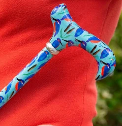 Walking Sticks