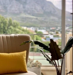 Office View