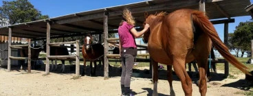 Medicine Horsemanship