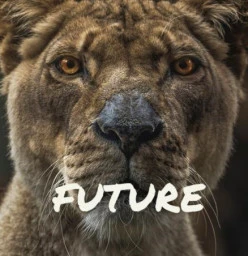 Goal setting and planning your future