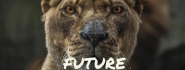 Goal setting and planning your future