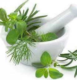 Homeopath